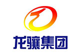 广州龙维电子科技有限公司